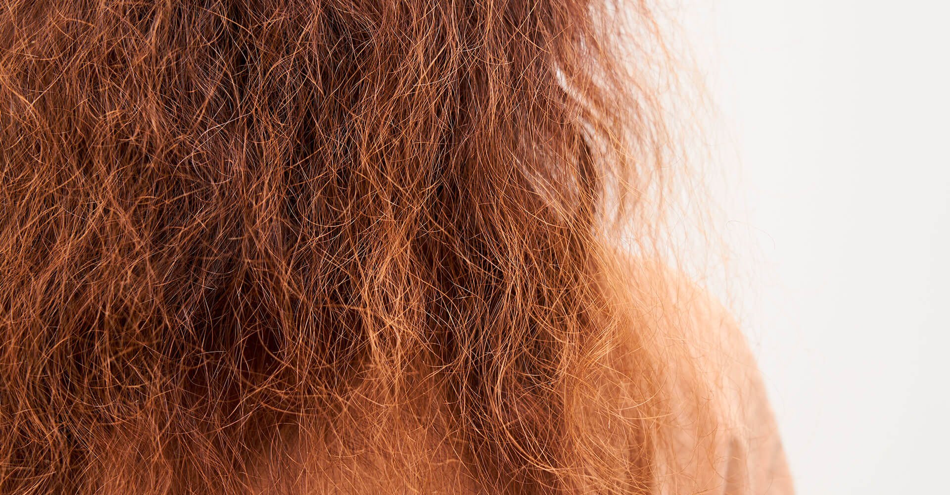 Cabelo ressecado: confira como cuidar e hidratar os fios!